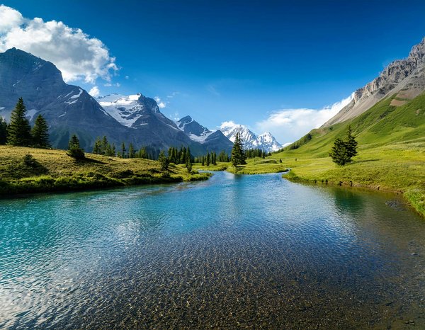 Explorez les meilleurs camping-cars d'occasion à choisir